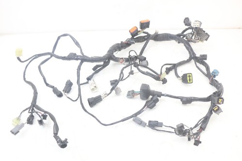 Faisceau kawasaki 6 er6 n - -, er-6