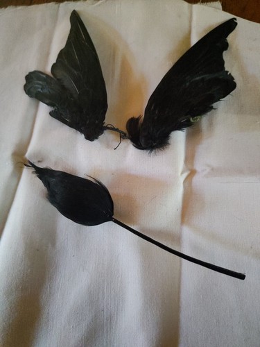 Application ancienne plume - ,