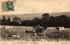 CPA St-ARNOULT - Dans