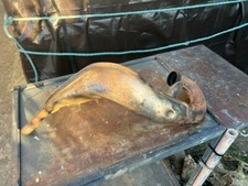 vends pot d échappement cr