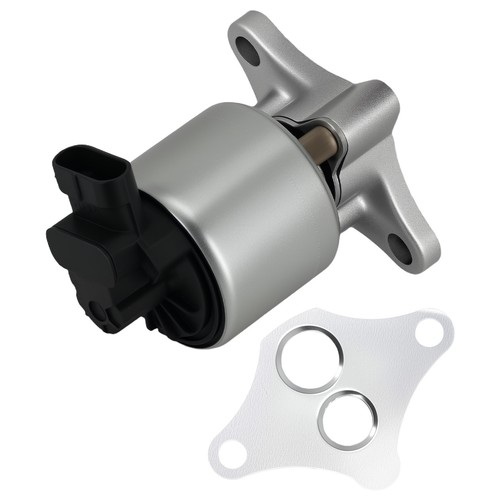 Soupape egr for - egr, 307