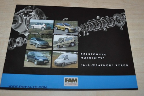 Fam automobiles 4x2 - fam, model