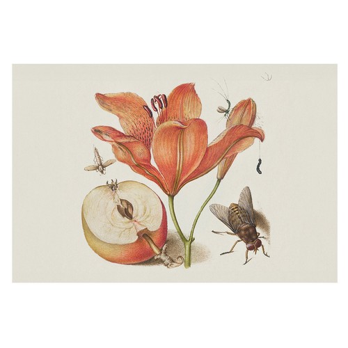 Peinture murale papier - murale, en