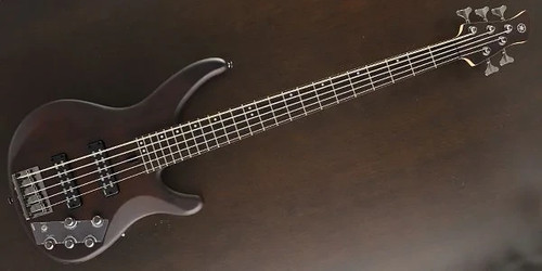 Guitare basse électrique