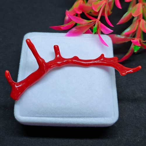Bâton branche poli corail - de,