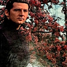 Vinyl 33 JERRY LEE LEWIS.THE