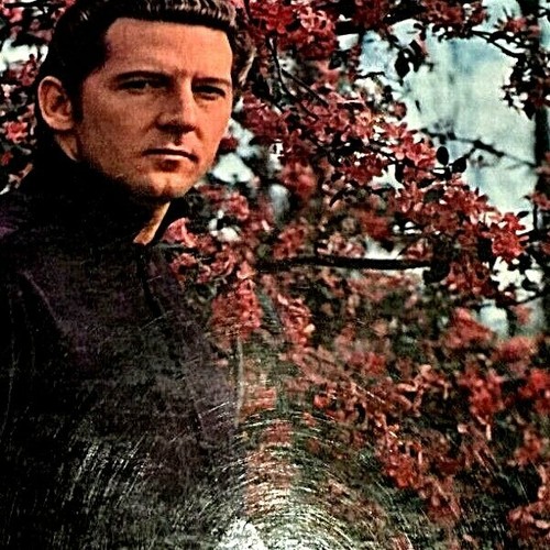 Vinyl jerry lee - 33,