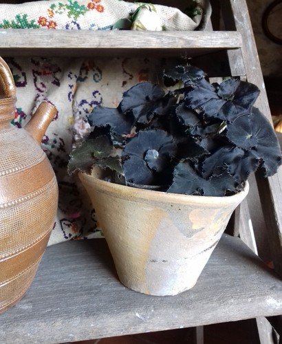 Pot résine ancien - à, terre