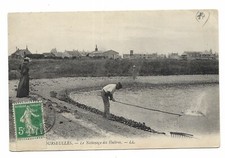 CARTE POSTALE COURSELLES  NETTOYAGE DES HUITRE S Basse Normandie Editions  LL