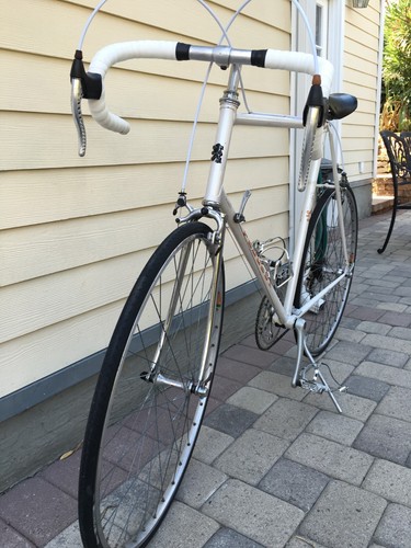 1981 speed racing vintage - speed,