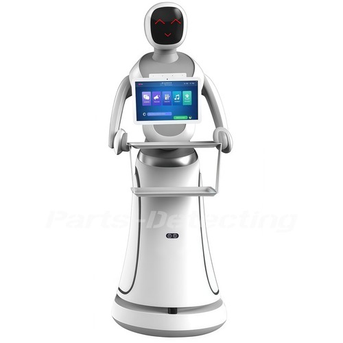 2025 new humanoid amy - 2025,