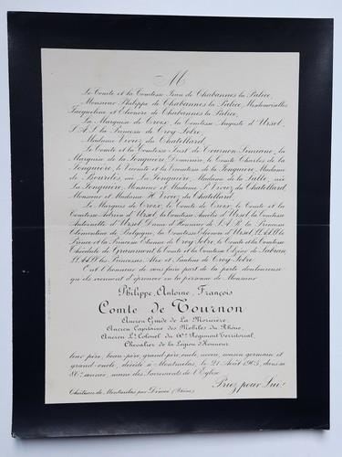 Comte tournon chateau - comte, de