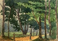 LE PEINTRE PAUL DENIS // DEBUT