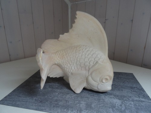 Poisson mouvement aspect - en,