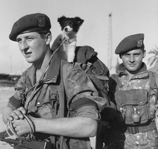 Commando Marine Suez Monfort
