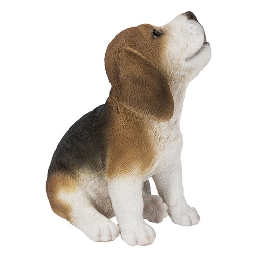 Beagle puppy howling - beagle,