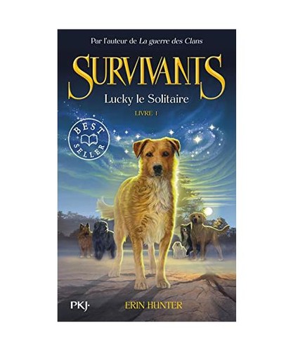 Survivants tome lucky le - -,