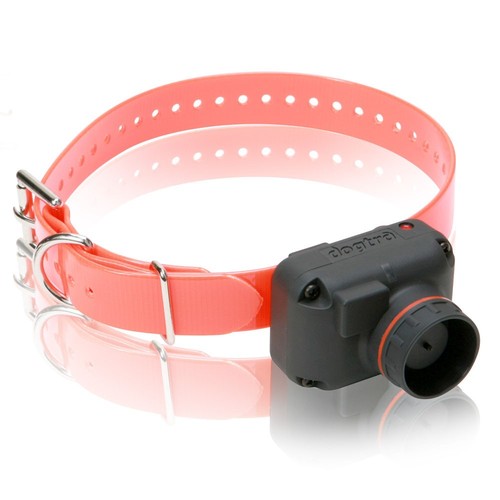 Collier repérage dogtra - collier,