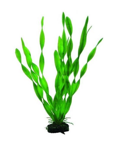 Plante artificielle - plante,