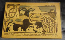 CPA MADAGASCAR : BERGER HOVA - publicité PHOSPHATINE FALIÈRE.