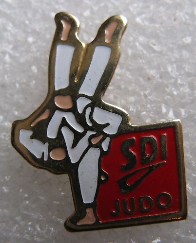 Pin club judo tatamis - pin's, de