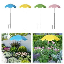 Côté fleur de parapluie de la plante extérieure pour les lits de jardin