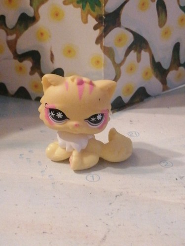 Petshop chat persan 878 - petshop,