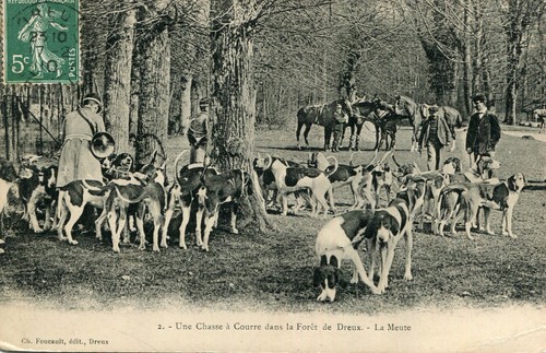 Carte une chasse courre - carte, à