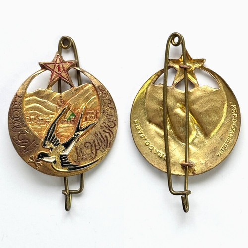 Insigne afn rtm - afn, 1°