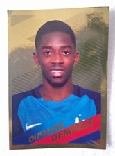 Vignette Panini Carrefour