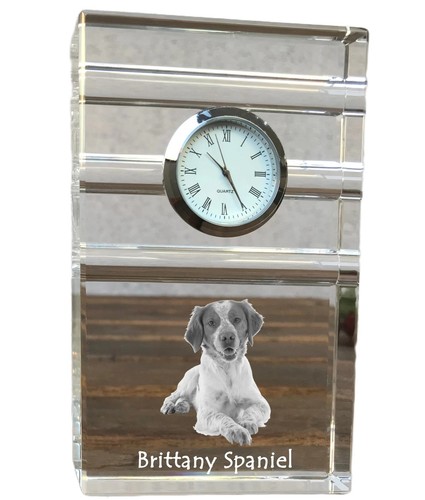 Epagneul breton horloge - epagneul,