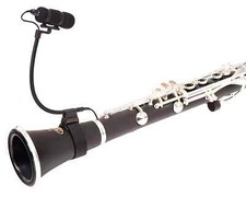 Microphone avec Flute