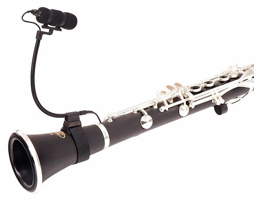 Microphone avec flute - avec,