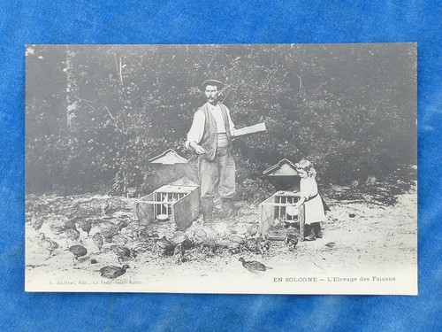 Rare top cpa carte - rare, ++