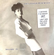 LISA FLOYD PETERSON - MELODY IN GRAY - EP RARE MODERN SOUL;SYNTHS BOOGIE SS