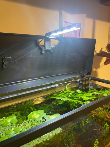 Led pour aquarium - aquarium,