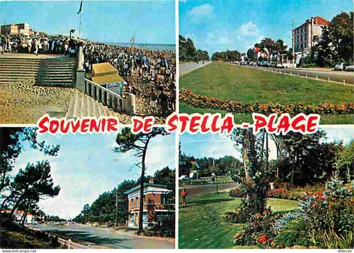 Carte postale stella - -,