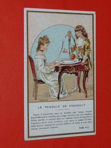 Chromo 1900 1930 chicoree - 1900-1930,