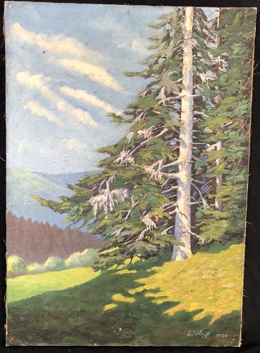 Wolfj 1928 paysage - l.,