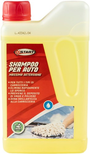 Shampoing auto multi-saisons