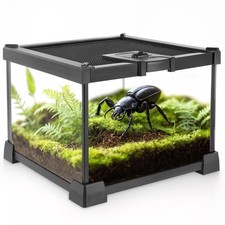 Mini Reptile Glass Terrarium