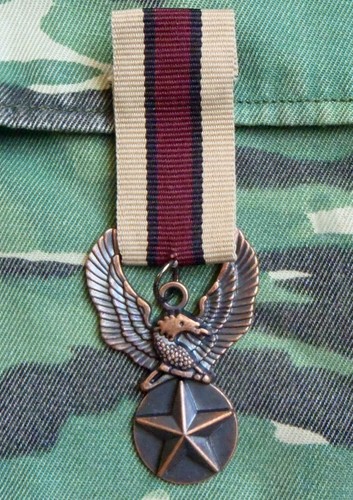 Médaille broche militaire - médaille,