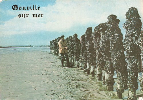 Gouville sur mer - 50,