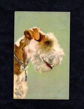 Carte postale : chien Fox