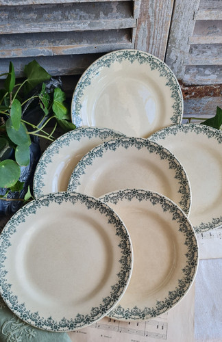 Anciennes assiettes plates - anciennes,