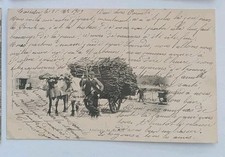 CPA Pyrénées-Atlantiques