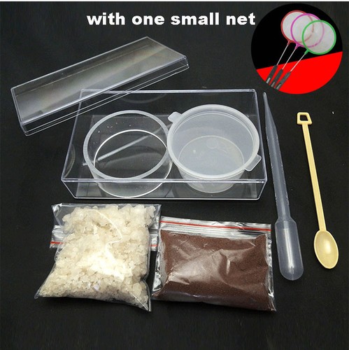 Brine shrimp artemia eggs - eggs, and