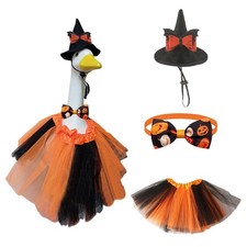 Ensemble élégant costume