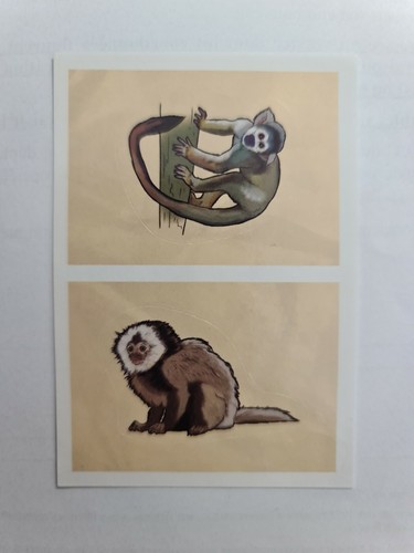 Image sticker autocollant