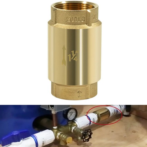 Npt brass check valve - 1,